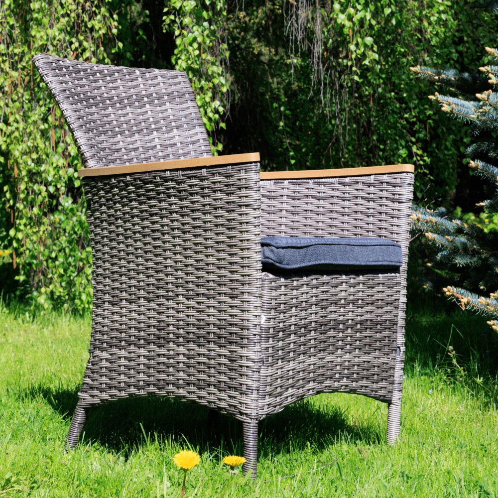 Обеденное кресло Royal Family AMELIA серое 6